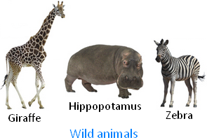 Wild and Tame Animals | Indian Animals | Lion and Tiger | Different