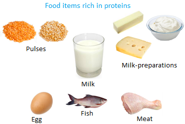 List Of Food Items Rich In Protein List Of Food Items Rich In Protein