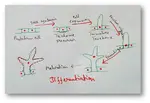Differentiation