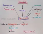 Fermentation