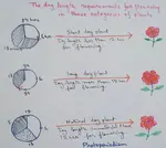 Photoperiodism