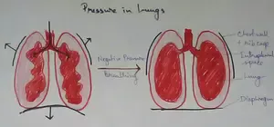 Pressure in Lungs