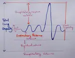 Respiratory Volumes