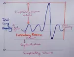 Respiratory Volumes