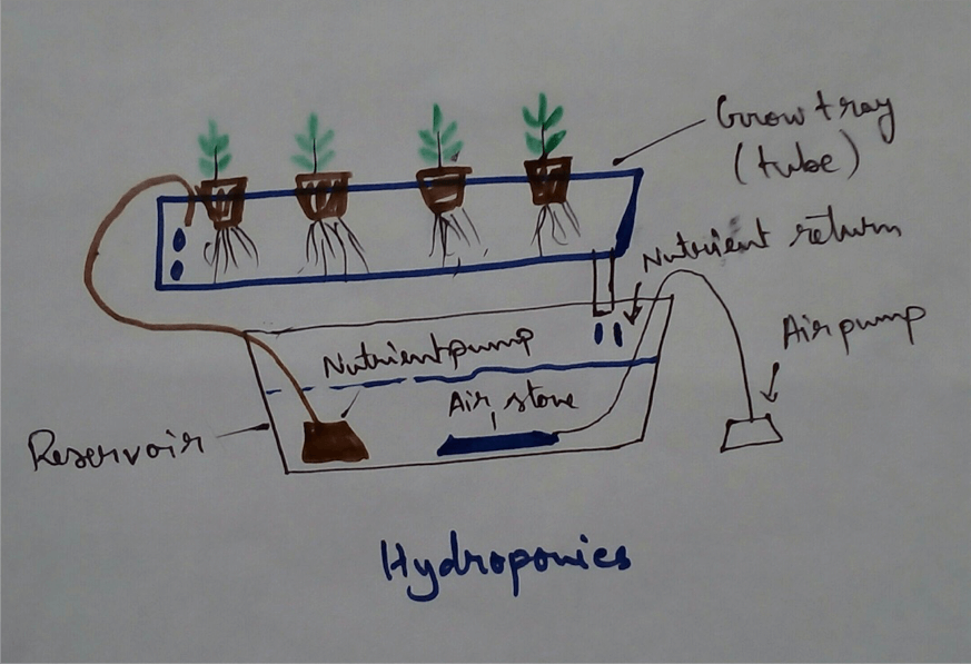 Hydroponics