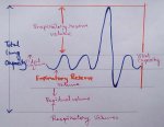 Respiratory Volumes