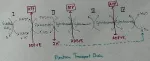 Electron Transport Chains