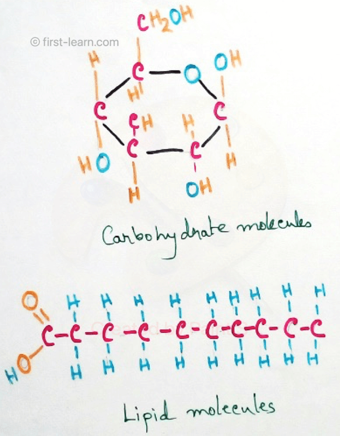 All molecules of the living organisms or chemicals of living organisms which are functional within them are known as biomolecules. It is associated with almost 1000 types of chemical reaction in animal cell. Different types of chemicals present in the cells are called