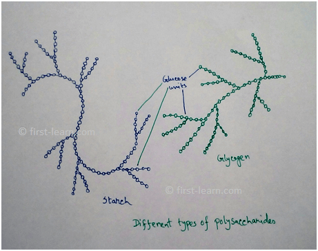 Biomacromolecules are molecules that has molecular weight of more than 1000 Dalton and are found in the acid soluble pool of the chemical analysis of living tissue. These are large sized complex molecules which are of high molecular weight which are commonly formed