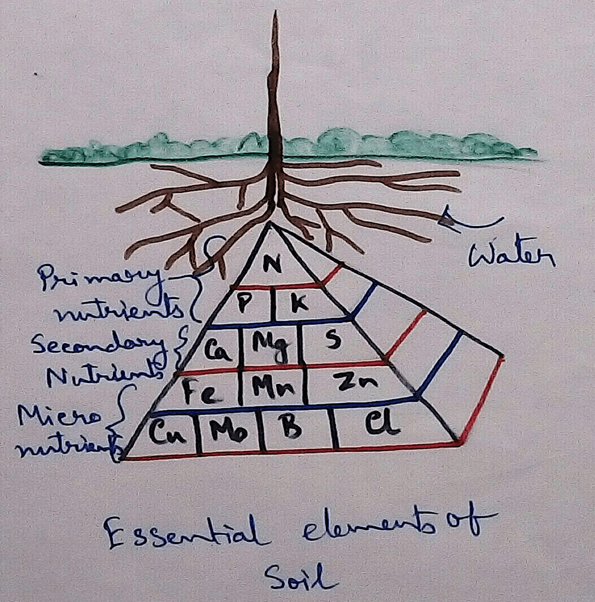 Essential Elements of Soil