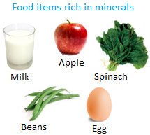 Food Items Rich in Minerals