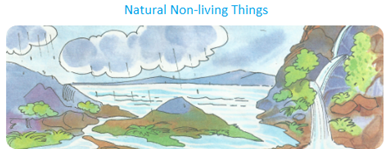 Normalt krigsskib Brawl Living and Non-Living Things | Natural Things | Man made Things |First  Learn.com