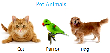 Pet Animals