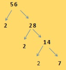 Prime Factorisation