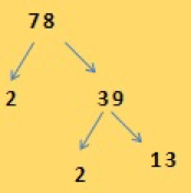 Prime Factorisation