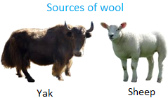 Sources of Wool