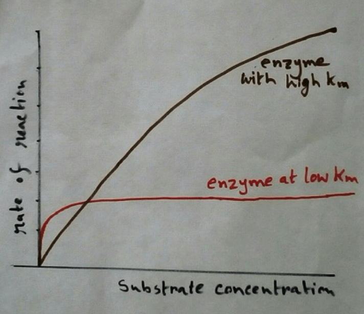 Substrate Concentration