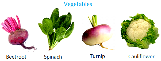 Stem Vegetables Chart