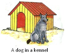 A Dog in a Kennel