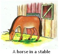 A Horse in a Stable