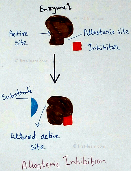 Enzymes are biological catalyst which speed up the reaction and it remain unchanged itself after the reaction by lowering the activation energy. History – In 1897 Kunhe described enzyme as – “biocatalyst are proteinaceous substances which are capable of cataloguing