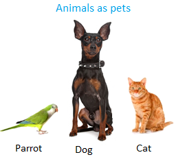 Animals as Pets