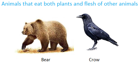 Animals that Eat both Plants and flesh of other Animals