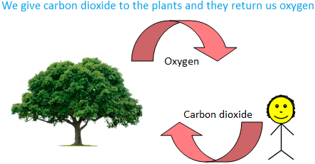 Carbon Dioxide to the Plants and they return us Oxygen