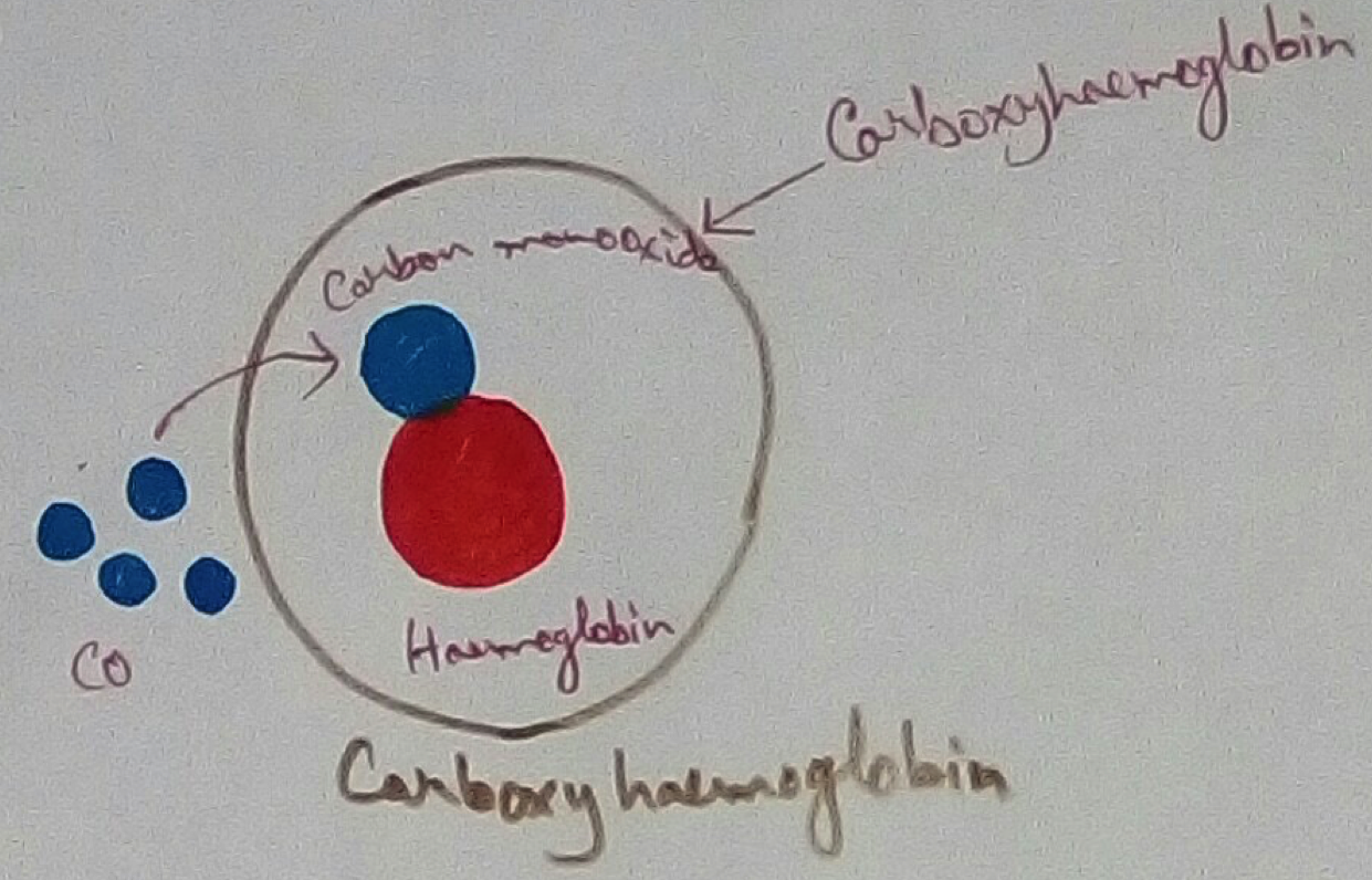 Carboxyhemoglobin