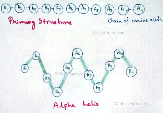 Large molecules of organic substances which 8s made up of hydrogen, carbon, oxygen, nitrogen and essential for the cellular structure, metabolism and development are called proteins.