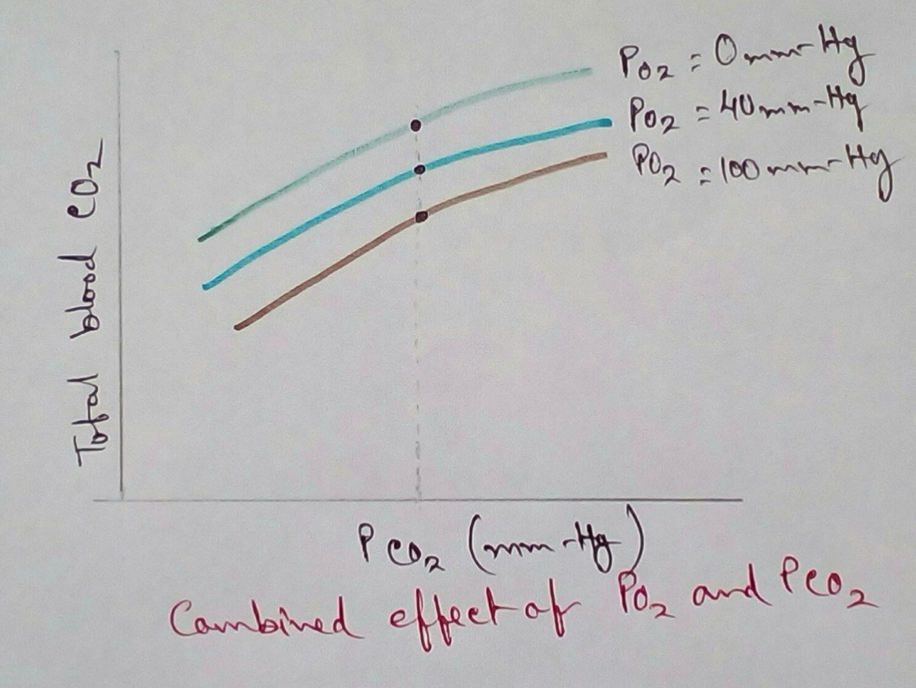 Combined Effect of pO2 and pCO2