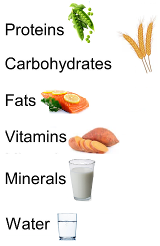 Components of Nutrients
