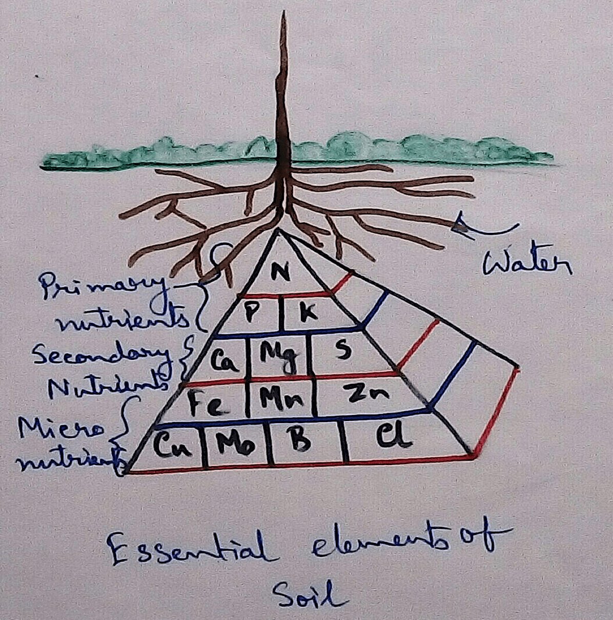 It is accepted that soil is very much essential for the plants to grow. Soil is made up of three layers. Among the three layers topsoil is the most enriched layer of the soil. In this layer plants grow. This layer contains all the critical elements 