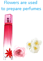 Flowers are used to prepare Perfumes