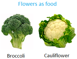 Flowers as Food