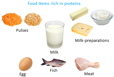 Food items Rich in Proteins