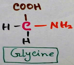 Glycine