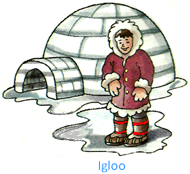 Igloo