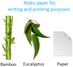 Make Paper for Writing and Printing Purposes