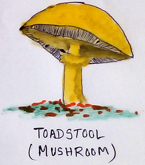 Mushroom