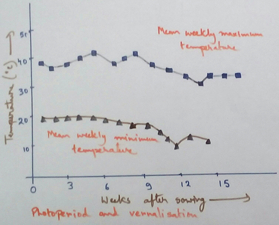 Photoperiod and Vernalisation