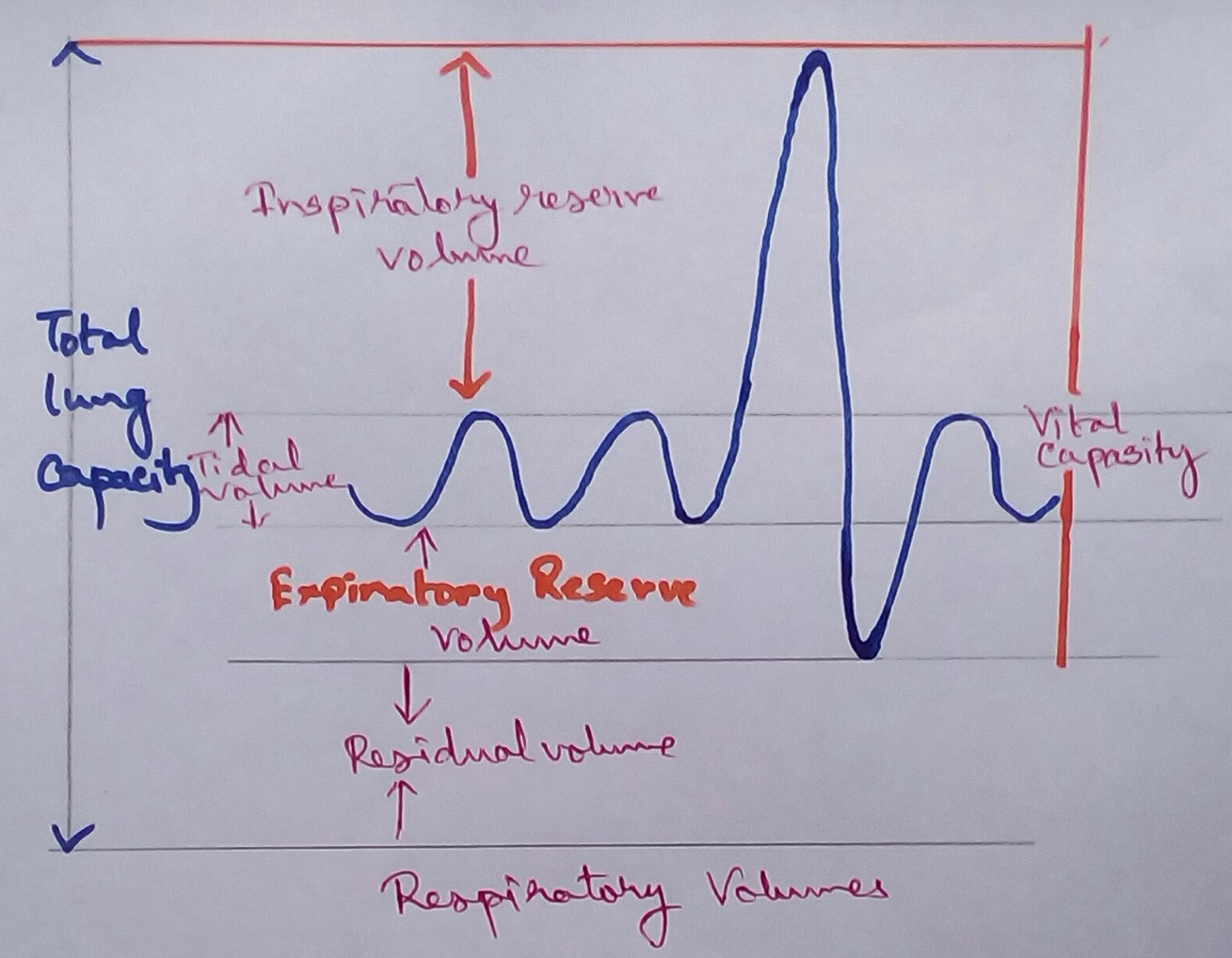 Respiratory Volumes