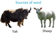 Uses of Animals | important things we get from animals | Animal Uses Uses of Animals | important things we get from animals | Animal Uses