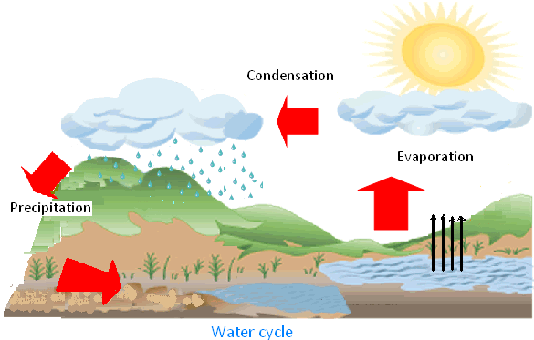 Water Cycle