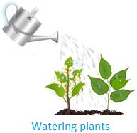 Watering Plants