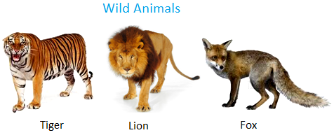 Wild Animals